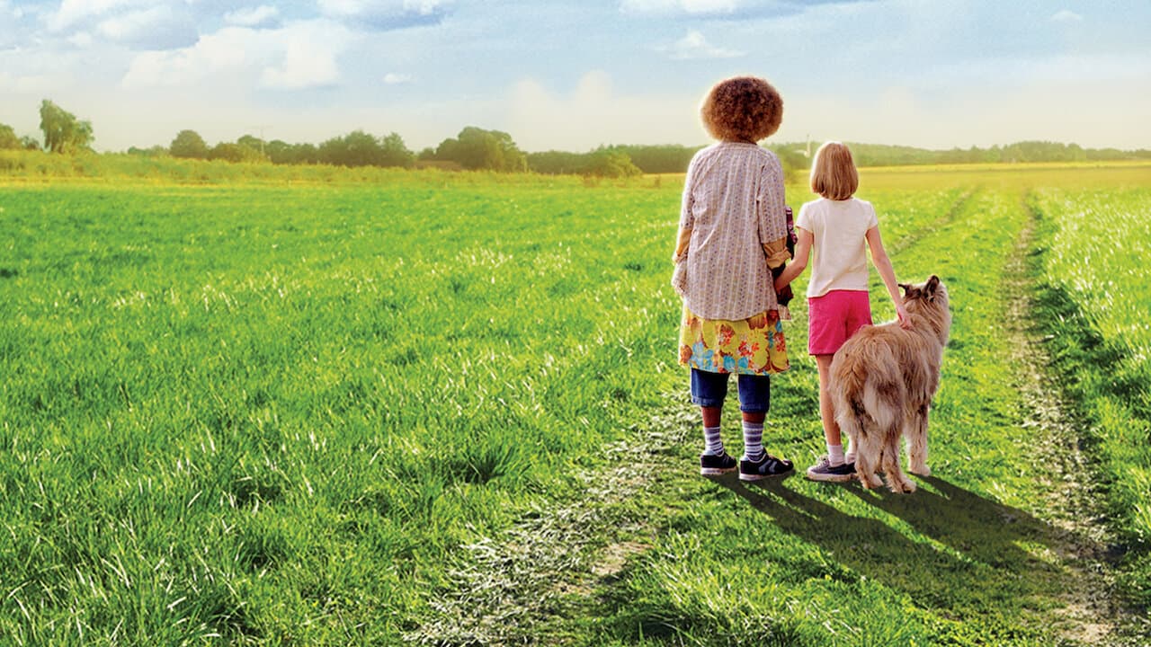 Because of Winn-Dixie